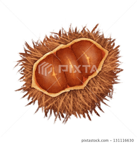 栗子的例證 131116630