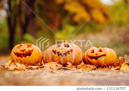 Halloween pumpkins on the autumn street. Holidays, decoration concept. 131116707