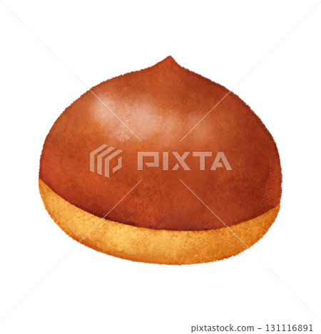Illustration of a single chestnut Illustration of a single chestnut 131116891
