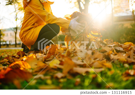Woman cleans autumn park from yellow leaves. Volunteering, cleaning concept. Seasonal gardening. 131116915
