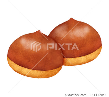 Illustration of two chestnuts Illustration of two chestnuts 131117045