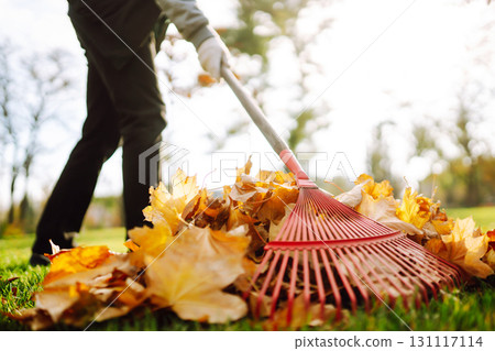Rake with fallen leaves in autumn. Man cleans the autumn park from yellow leaves. Volunteering. Rake with fallen leaves in autumn. Man cleans the autumn park from yellow leaves. Volunteering. 131117114