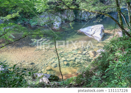 廣島縣秋田町三段峽的夏日美景 廣島縣秋田町三段峽的夏日美景 131117226
