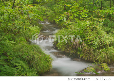 山毛櫸森林、奧大山、北谷澤溪流等天然水景拍攝地。 山毛櫸森林、奧大山、北谷澤溪流等天然水景拍攝地。 131117290