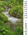 Beech forest, Oku-Daisen, Kitanizawa Stream, natural water filming location. 131117291