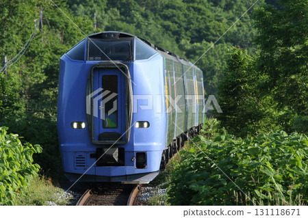Limited Express Sarobetsu bound for Wakkanai in the greenery Limited Express Sarobetsu Soya Main Line 131118671