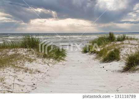 Baltic Sea Dune Path to Sandy Beach with Sea Grass and Dramatic Stormy Sky 131118789