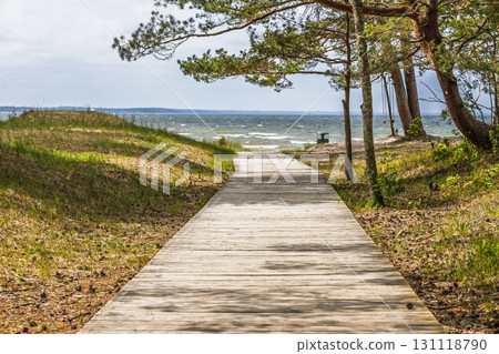 Wooden boardwalk through coastal pine dunes leading to tranquil beach and blue sea 131118790