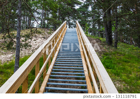 Wooden Staircase Through Pine Forest Dunes 131118791