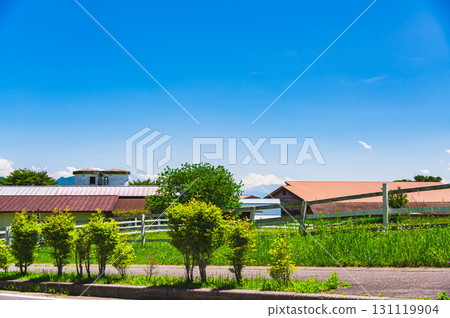 清泉峪附近的牧場風景 131119904