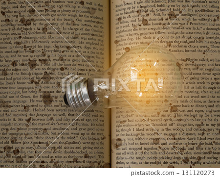 Light bulb on an old book background.Education concept. Light bulb on an old book background.Education concept. 131120273