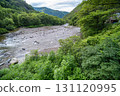 清澈的溪流流過新鮮的綠色 131120995