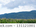 玉米田和綠色山脈 131121001
