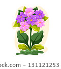 Cartoon vector flowers in pink and purple shades with green leaves. Perfect for floral design, nature and garden decoration. 131121253