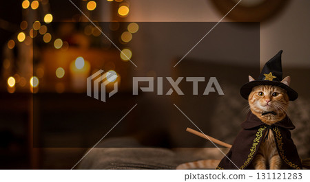 萬聖節時，一隻貓扮成女巫，在昏暗的房間裡，背景是黑色的 131121283
