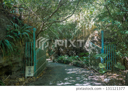 石垣島 Sabichi 洞窟 131121377