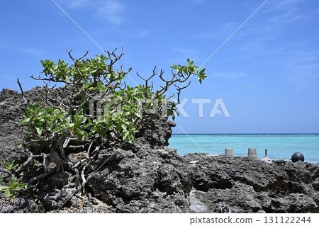 Coastline seen from Miyakojima Coastline seen from Miyakojima 131122244