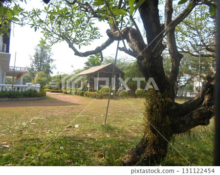 A Serene Garden with a Swing and Historic House in the Background on a Sunny Day A Serene Garden with a Swing and Historic House in the Background on a Sunny Day 131122454