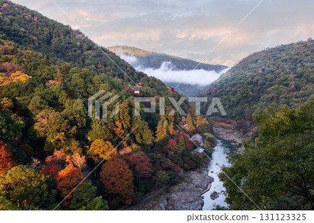 Morning sun lights Arashiyama valley forest in Kyoto as mist drifts over hills and Katsura River 131123325