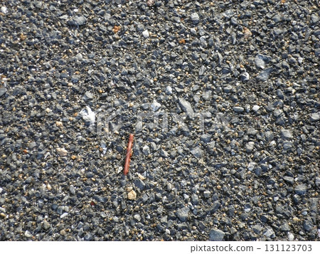 A Close Up View of a Gravel Road with Small Pebbles and a Twig Scattered on the Surface in Daylight 131123703