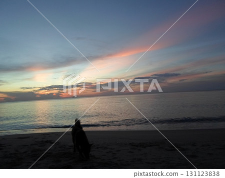 Solitary Figure on Beach at Sunset with Vibrant Sky Streaks 131123838