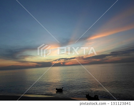 Two Dogs Splashing in Ocean Waves Under Colorful Sunset Sky Streaks Two Dogs Splashing in Ocean Waves Under Colorful Sunset Sky Streaks 131123841