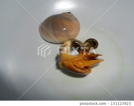A Single Clam and Its Orange Flesh on a White Plate with a Clean Background A Single Clam and Its Orange Flesh on a White Plate with a Clean Background 131123923
