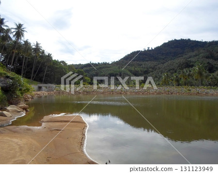 Quiet Reservoir with Sandy Banks and Coconut Trees Against a Forested Hill Backdrop Quiet Reservoir with Sandy Banks and Coconut Trees Against a Forested Hill Backdrop 131123949