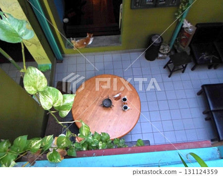 Courtyard with a Round Wooden Table and Potted Plants Surrounding a Cat Courtyard with a Round Wooden Table and Potted Plants Surrounding a Cat 131124359