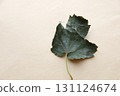 Autumn background. Falling Autumn Leaf. 131124674