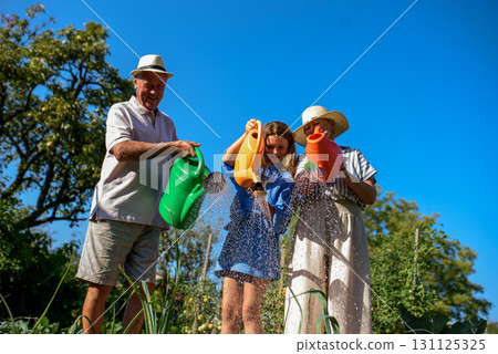 Girl helping grandparents in gardne, watering vegetable plants in summer garden. Girl helping grandparents in gardne, watering vegetable plants in summer garden. 131125325