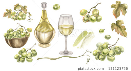 Green grapes watercolor collection with grape bunch,vine,leaves, wooden plate with fruits, bottle and glass of wine and grape berries isolated elements for card, packing, invitation design Green grapes watercolor collection with grape bunch,vine,leaves, wooden plate with fruits, bottle and glass of wine and grape berries isolated elements for card, packing, invitation design 131125736