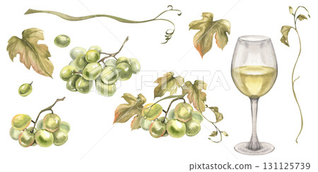 White wine glass and grapes bunches watercolor collection. Isolated elements of fresh green grapes, berries and floral parts. Summer fruits for juice and Italian wine ingredients clipart for design White wine glass and grapes bunches watercolor collection. Isolated elements of fresh green grapes, berries and floral parts. Summer fruits for juice and Italian wine ingredients clipart for design 131125739