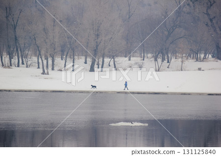 Walking along a river beach in winter, walking a dog 131125840