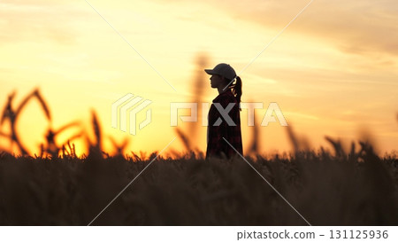 agriculture woman farmer walks through wheat fields. women firm sunset. women business. concept agriculture. woman works agriculture. field wheat sunset. Women business. term refers ears wheat field agriculture woman farmer walks through wheat fields. women firm sunset. women business. concept agriculture. woman works agriculture. field wheat sunset. Women business. term refers ears wheat field 131125936