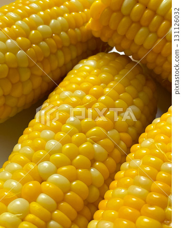 Golden yellow cooked corn heads cooking delicious Golden yellow cooked corn heads cooking delicious 131126032