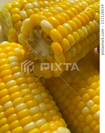 Golden yellow cooked corn heads cooking delicious 131126034