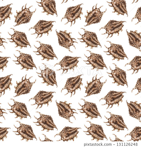Seamless pattern with brown seashells. Hand drawn watercolor illustration of sea snails and shells on white background. Tropical clip art of coral reef animals for fabric, beach decor,wraping paper. 131126248