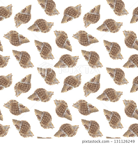 Seamless pattern exotic seashell. Hand drawn watercolor illustration of underwater animal on white background. Sketch of cockleshell for fabric print, wallpaper, wrapping paper, marine style decor. Seamless pattern exotic seashell. Hand drawn watercolor illustration of underwater animal on white background. Sketch of cockleshell for fabric print, wallpaper, wrapping paper, marine style decor. 131126249