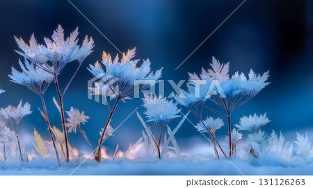 Snowflake frame background that colors winter, transparent ice crystals and blue gradation 131126263