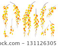 Set of Simple Autumn Weeping Birch Branches. 131126305