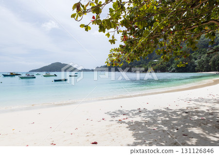 Sandy beach view on a sunny day, Seychelles. Coastal landscape 131126846