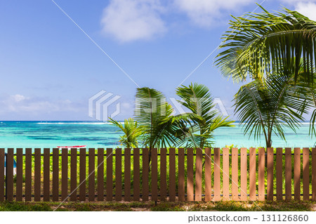 Summer garden background with palm trees and wooden fence. Anse Royale beach 131126860