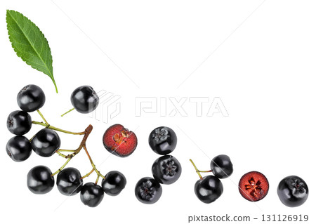 Chokeberry with leaf isolated on white background. Black aronia. Top view with copy space for your text. Flat lay Chokeberry with leaf isolated on white background. Black aronia. Top view with copy space for your text. Flat lay 131126919
