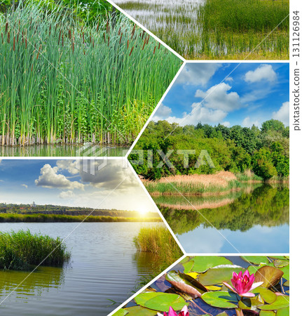 A beautiful mosaic of diverse lake and river scenery. 131126984