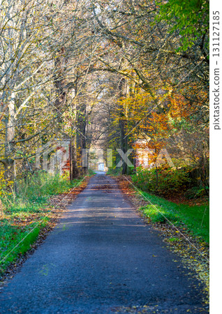 An old, crumbling brick wall with a leafless tree alley in autumn. The bare trees and rustic wall evoke a melancholic atmosphere, capturing the essence of the season's transition 131127185