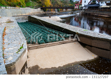 Fish migration brushes on the weir, designed to help fish swim upstream. The brushes are exposed without water, showcasing their unique design and function in aiding migration 131127207
