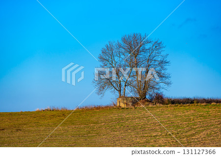 A historical view of a Czechoslovak anti-infantry bunker, known as a "ropik," standing in a field surrounded by trees, evoking the past and its wartime significance 131127366