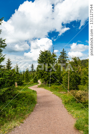 View of hiking trail in Krkonose national park, Czech Republic. Forest near the tourist path on top of hill. Summer weather. 131127544
