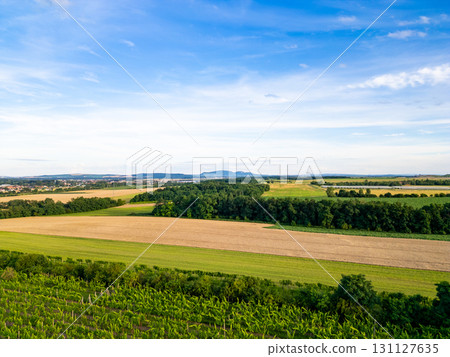 A stunning drone view of Hrusovany u Brna, showcasing the charming town, surrounding vineyards, and a distant, scenic view of the Palava Hills. 131127635